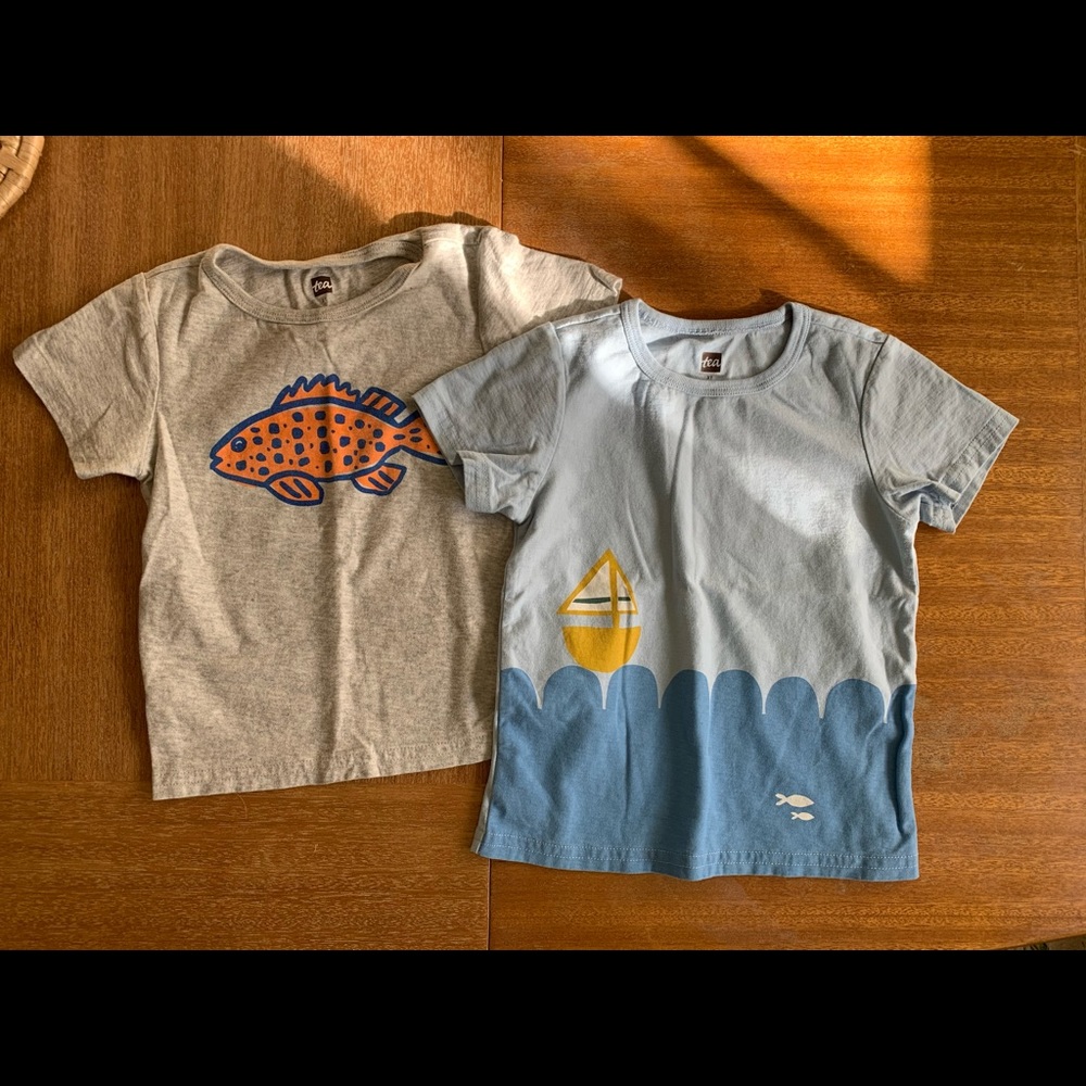 Bundle of two 3T shirts